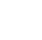 NeoExport